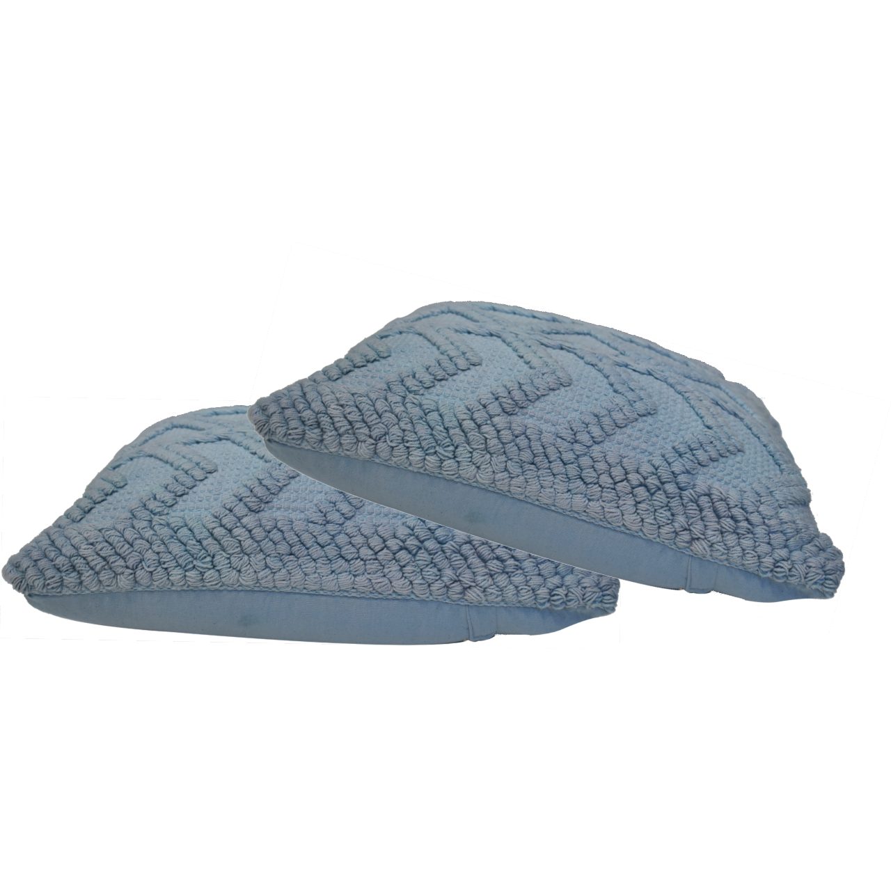 Alda Cushion Set of 2 - Blue Living with Luxury